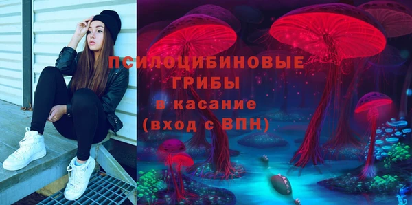 а пвп мука Абаза