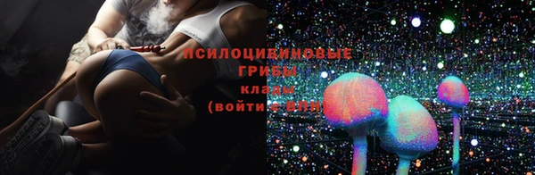 тгк Нея