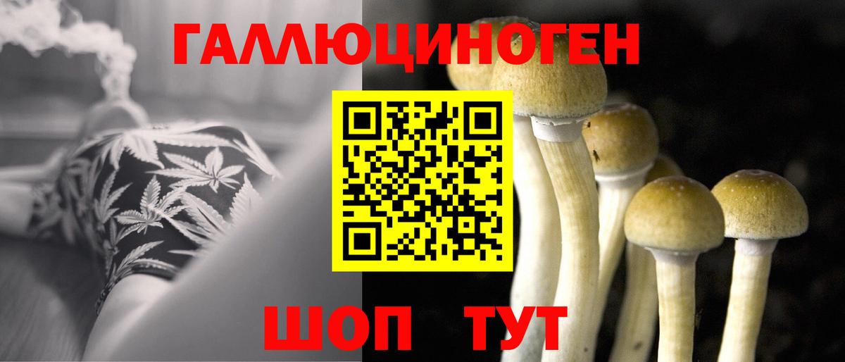 Черногорск  Галлюциногенные грибы GOLDEN TEACHER  Вход с VPN 
